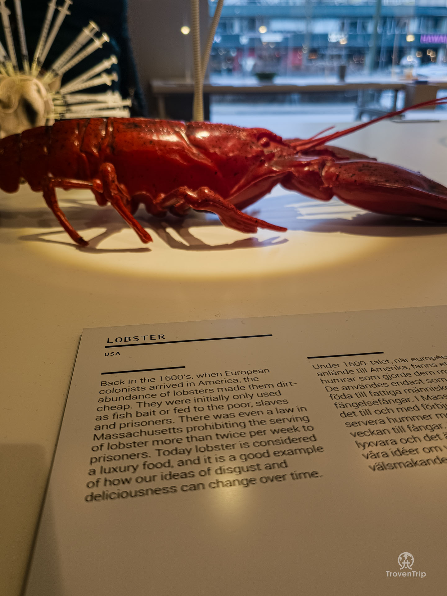 Disgusting Food Museum Malmo | World’s Most Disgusting Food | Best Things to do in Malmo