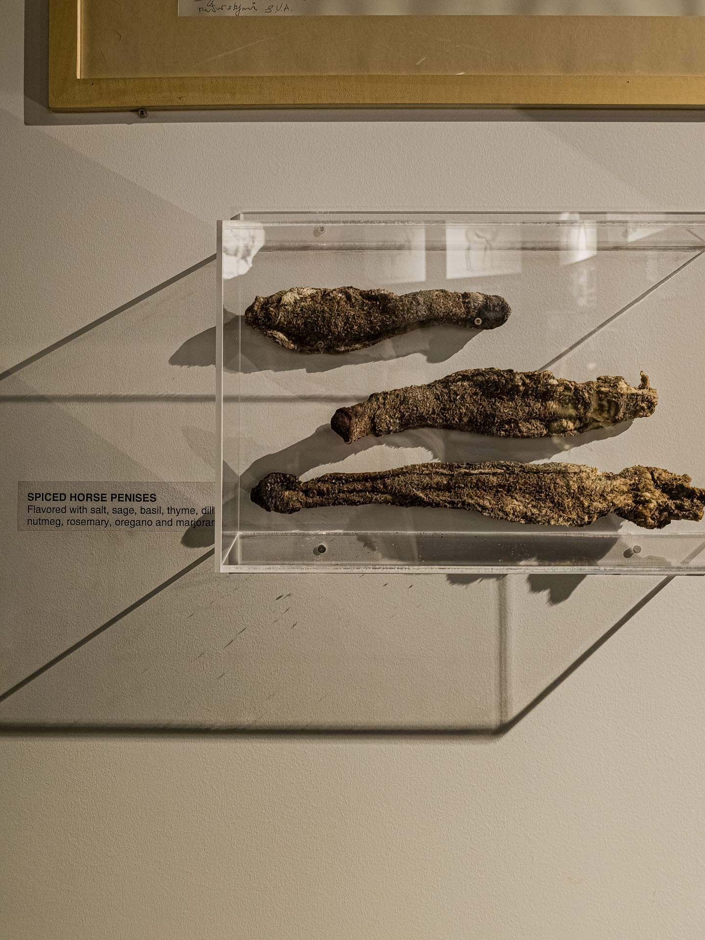 Spiced horse penis to eat at the Icelandic Phallological Museum in Reykjavik