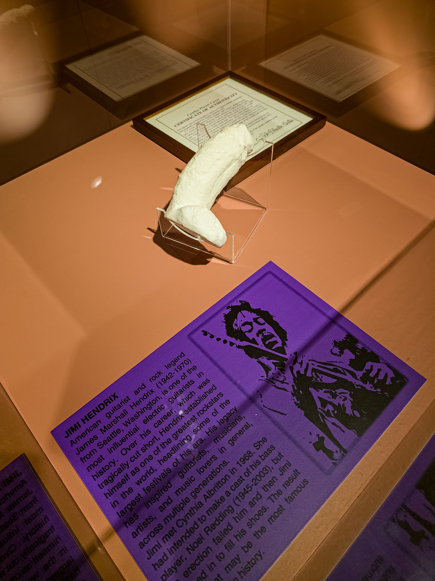 Jimi Henrix's penis at the Icelandic Phallological Museum